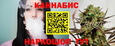 spice Дубна