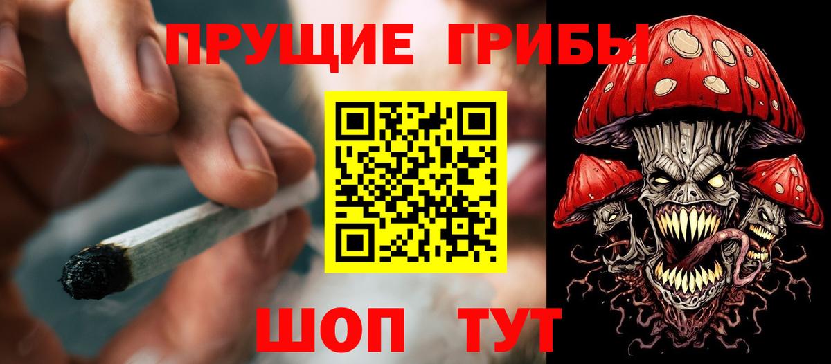 Назрань  Галлюциногенные грибы MAGIC MUSHROOMS  хочу наркоту  Галлюциногенные грибы MAGIC MUSHROOMS  Вход с VPN 